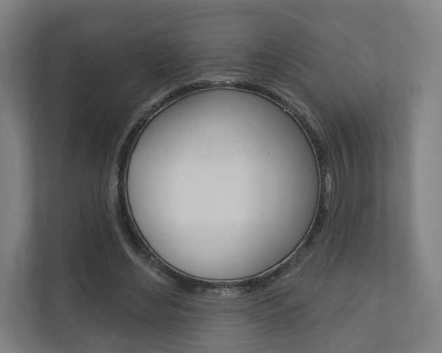 X0000110900492200906180949