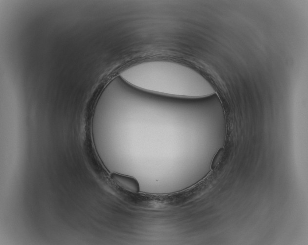 X0000110900496200906180949