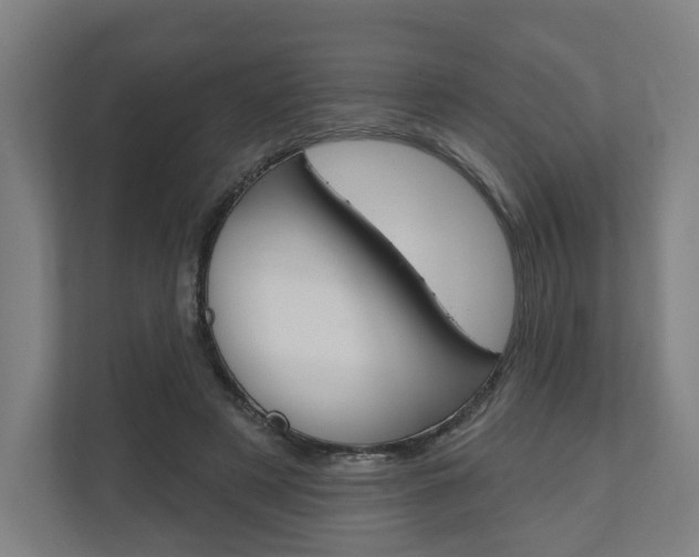 X0000110900497200906180949