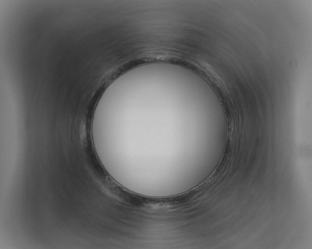 X0000110900500200906180949