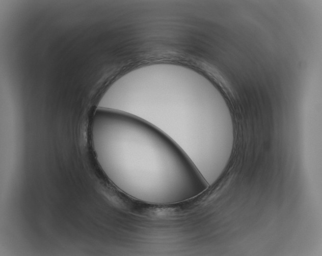 X0000110900501200906180949