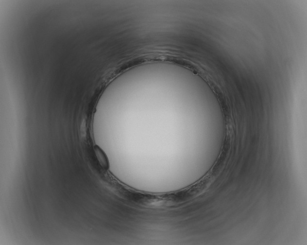 X0000110900504200906180949