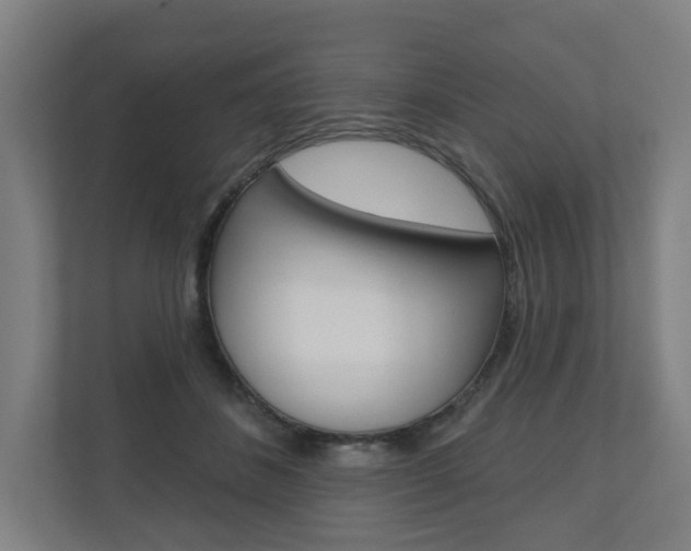 X0000110900508200906180949