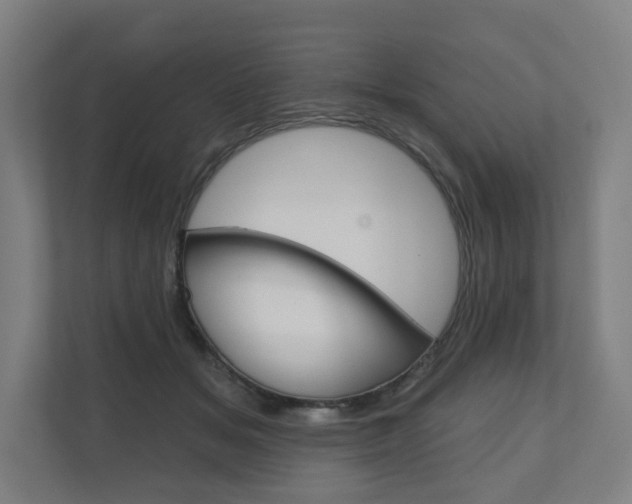 X0000110900509200906180949