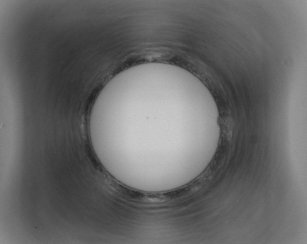 X0000110900510200906180949