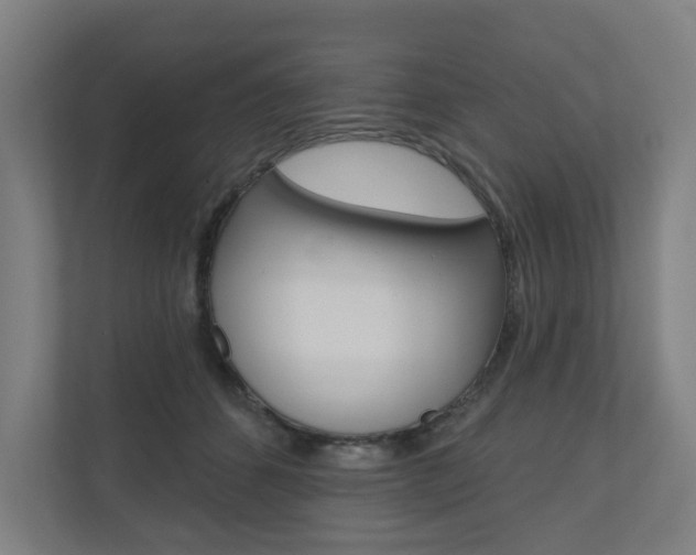 X0000110900512200906180949