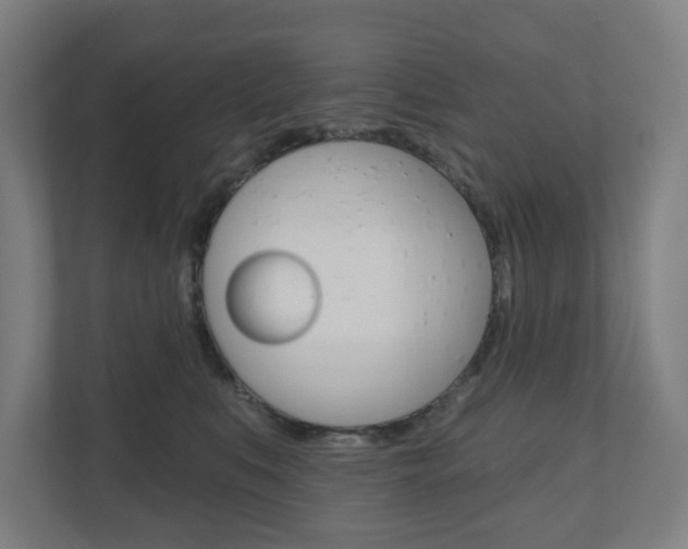 X0000110900519200906180948