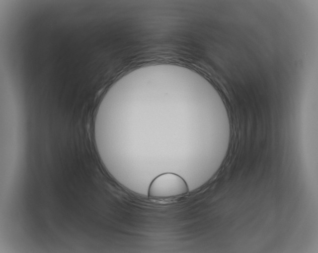 X0000110900520200906180948