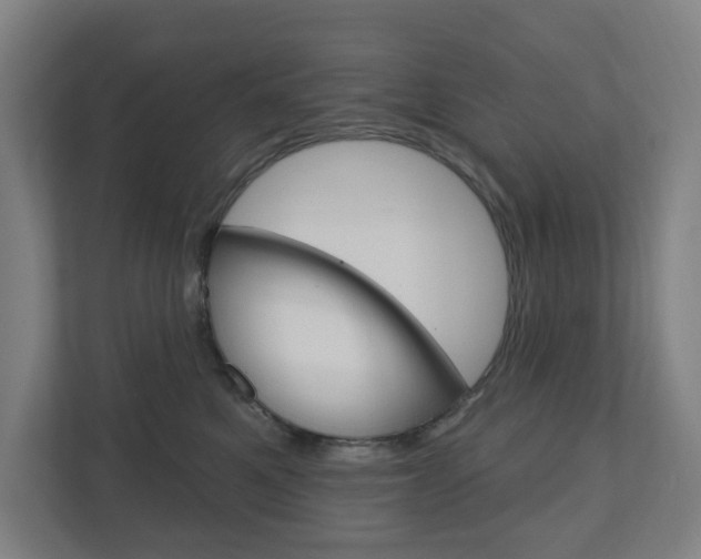 X0000110900521200906180948