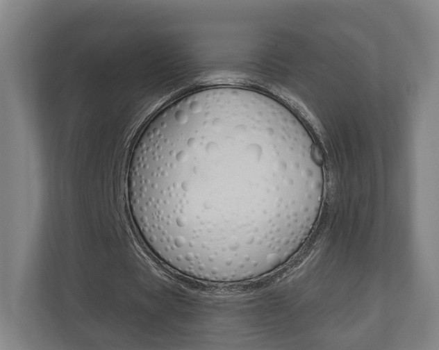 X0000110900529200906180948