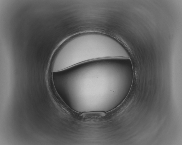 X0000110900532200906180948