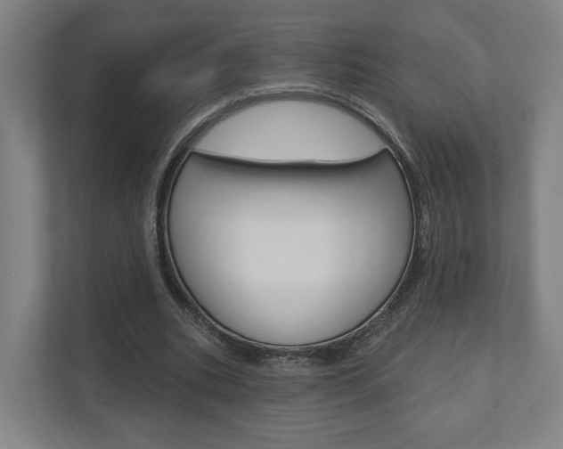 X0000110900535200906180948