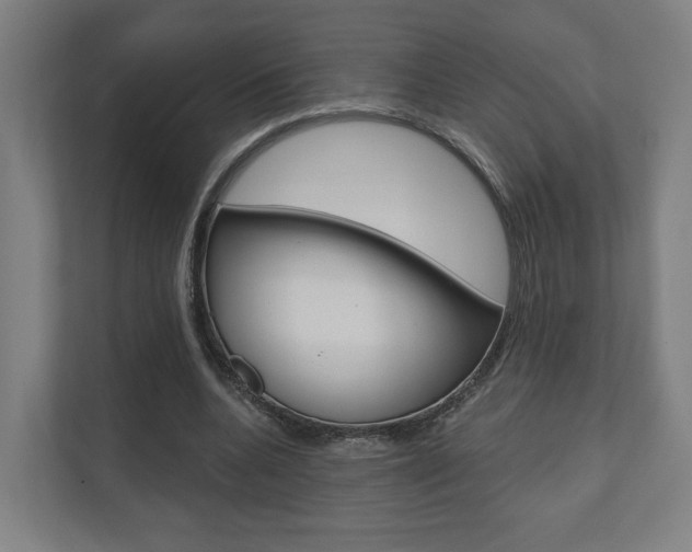 X0000110900536200906180948