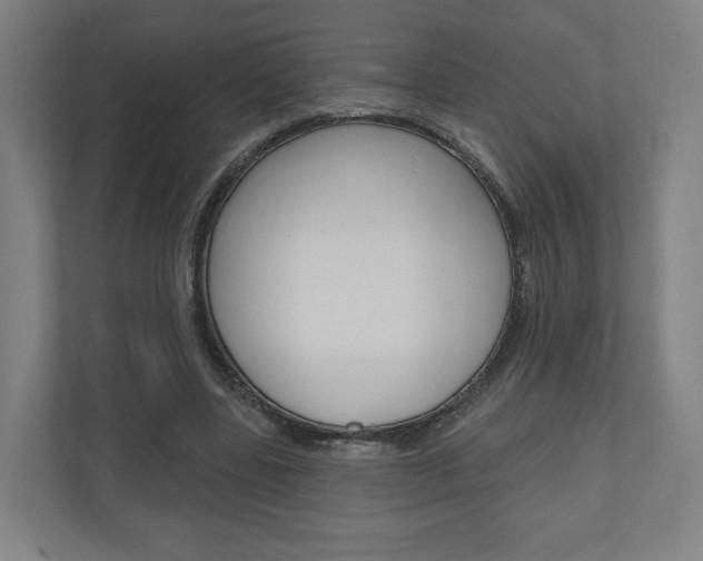 X0000110900539200906180948