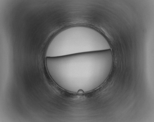 X0000110900543200906180948