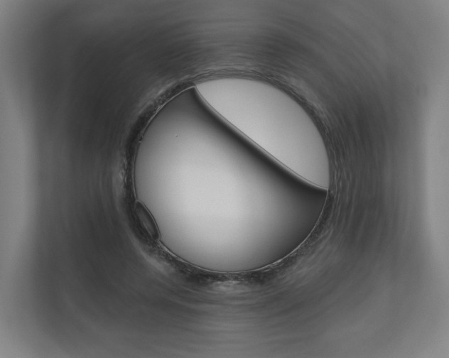 X0000110900544200906180948
