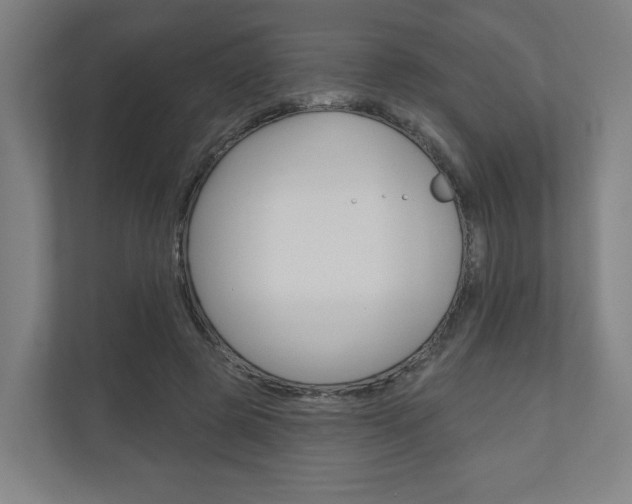 X0000110900545200906180948