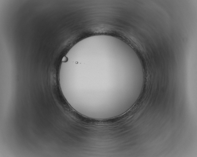 X0000110900547200906180948
