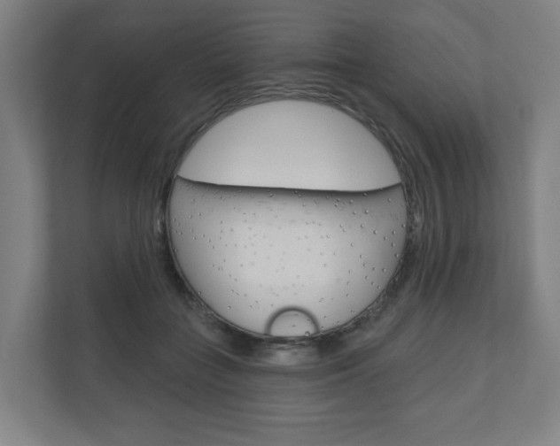 X0000110900555200906180948