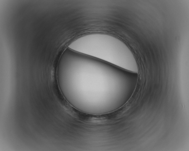 X0000110900556200906180948