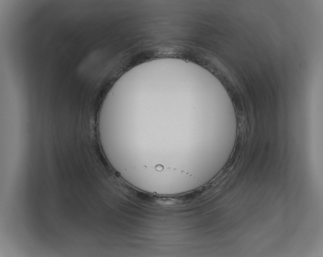 X0000110900557200906180948