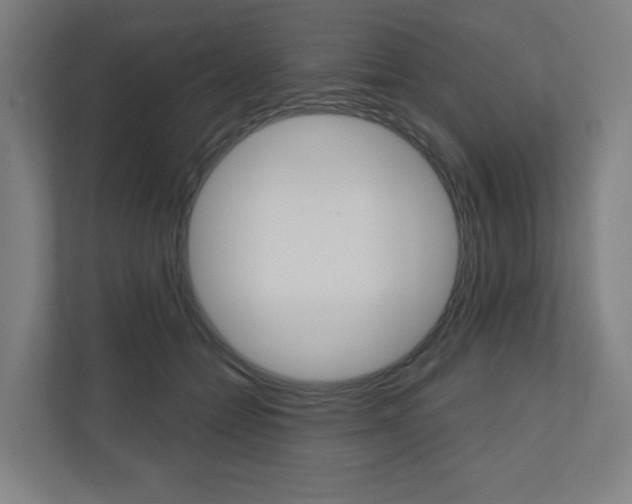 X0000110900558200906180948