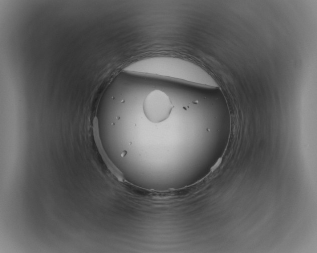 X0000110900560200906180948