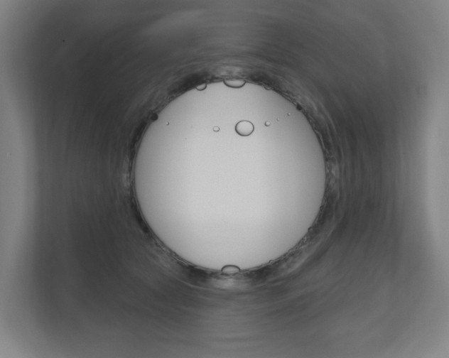 X0000110900561200906180948