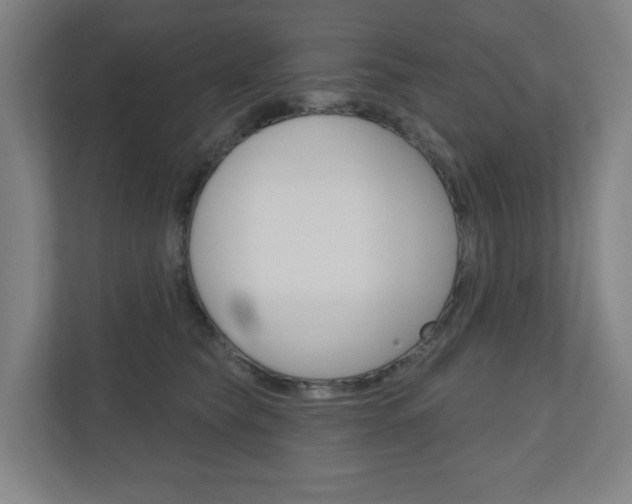X0000110900565200906180948