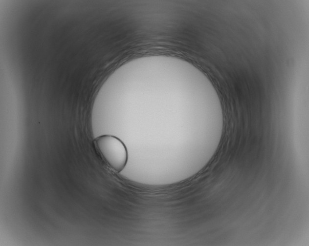 X0000110900566200906180948