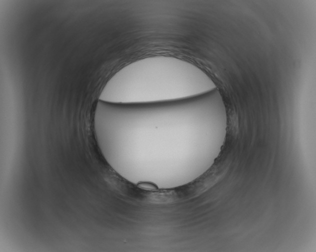 X0000110900571200906180948