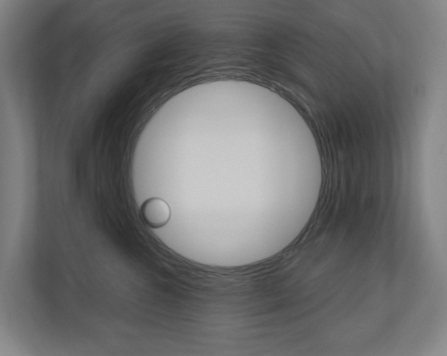 X0000110900572200906180948