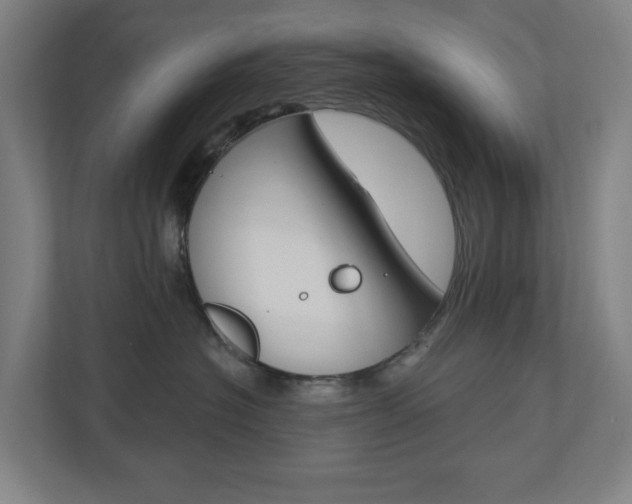 X0000110900574200906180948