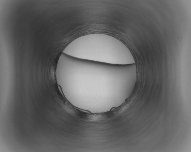 X0000110900575200906180948