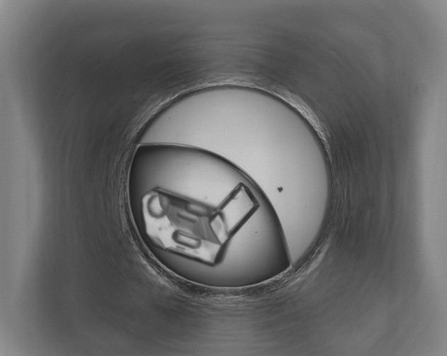 X0000110900577200906180948