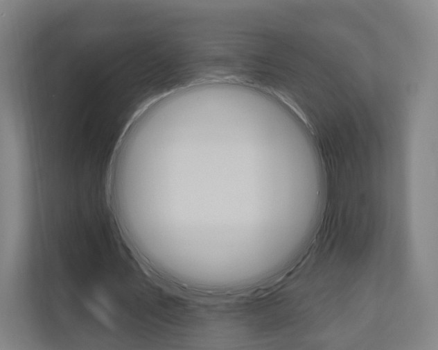 X0000110900579200906180948