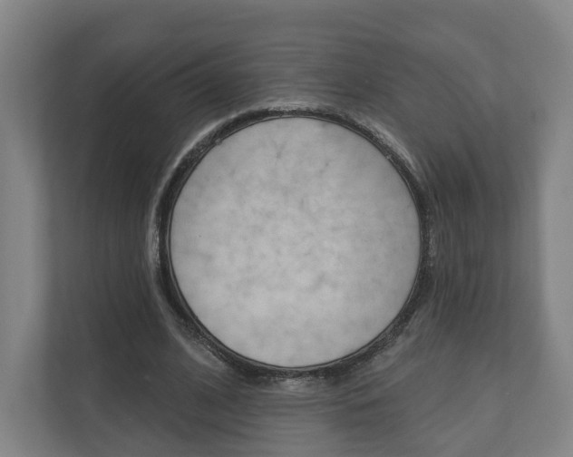 X0000110900584200906180948