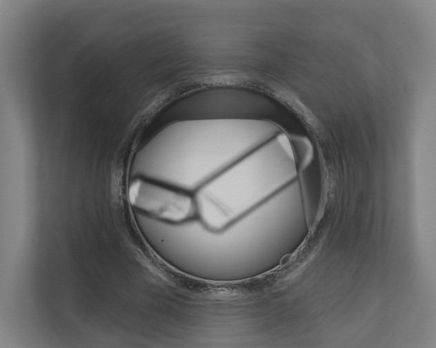 X0000110900585200906180948
