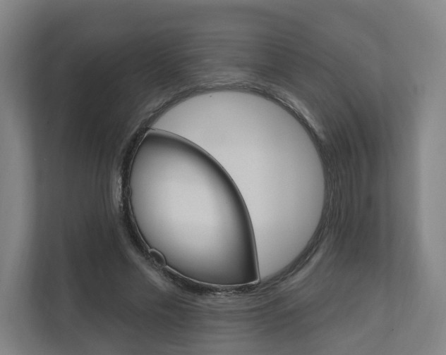 X0000110900589200906180948