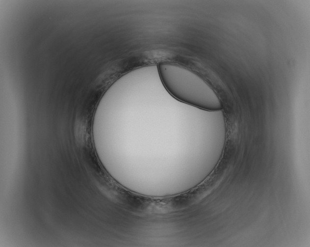 X0000110900599200906180947