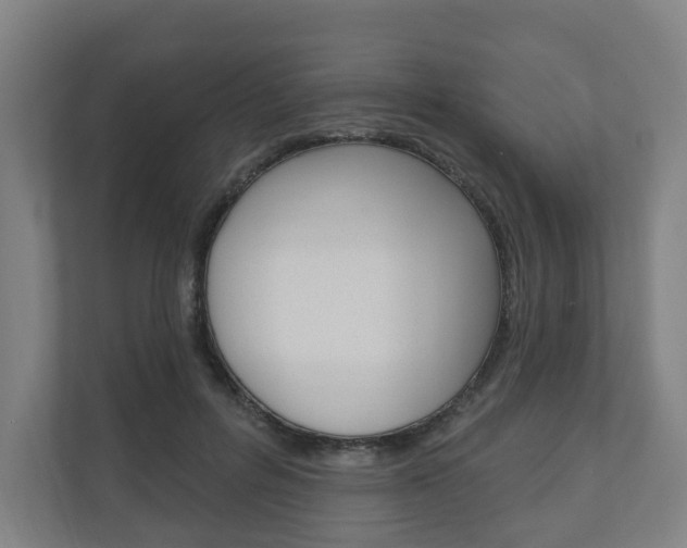 X0000110900600200906180947