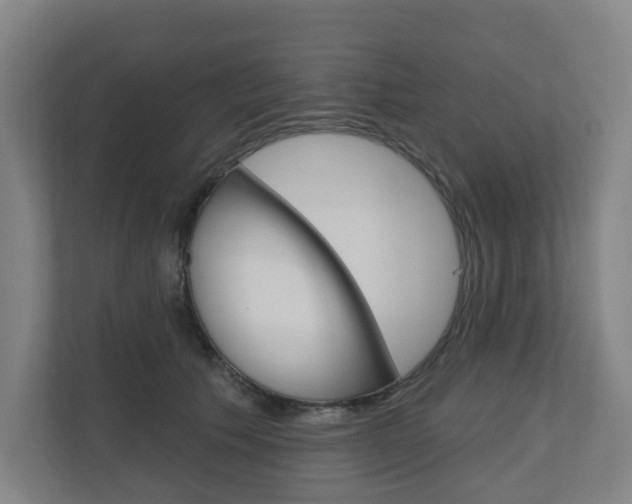 X0000110900609200906180947