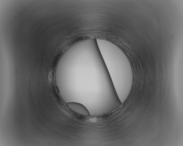 X0000110900611200906180947