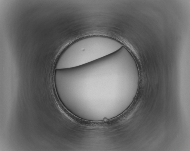 X0000110900625200906180946