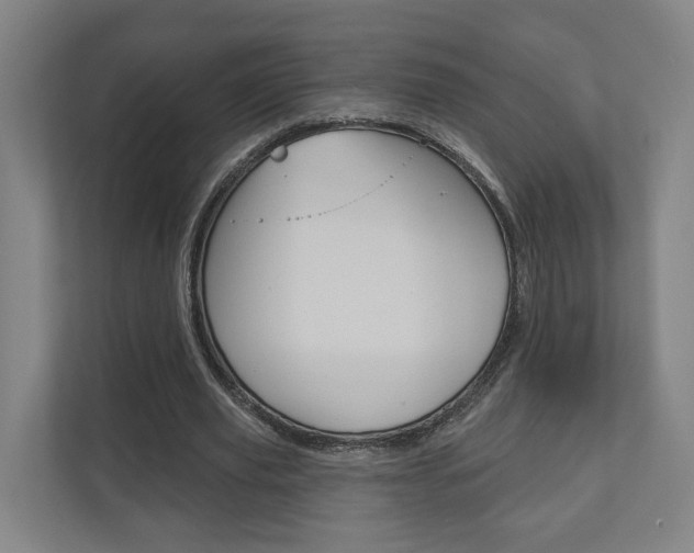 X0000110900629200906180947