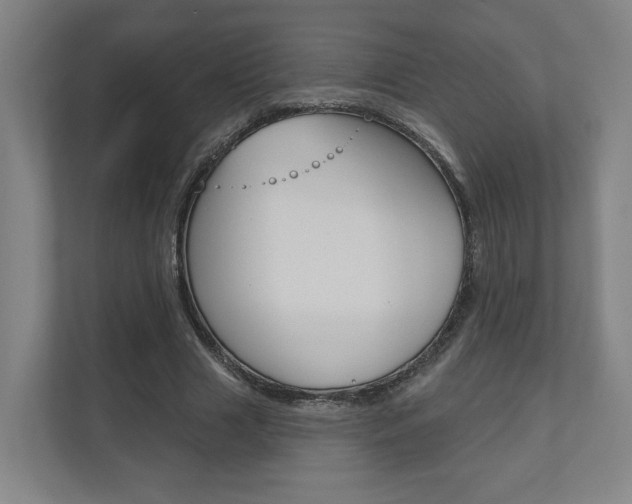 X0000110900633200906180947