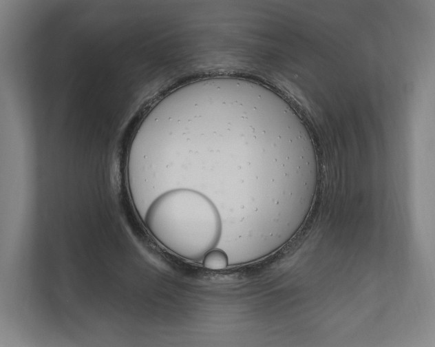 X0000110900638200906180947