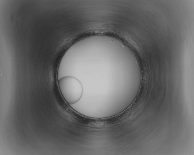 X0000110900639200906180947