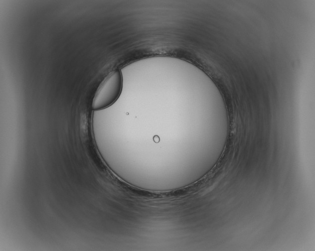 X0000110900646200906180947