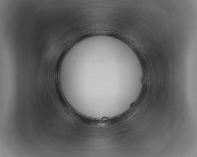 X0000110900647200906180947